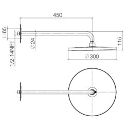 Dornbracht IMO Regenbrause Ø 30 Cm Mit Wandhalterung