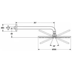 Hansa HANSAVIVA Kopfbrause Rund 30 Cm